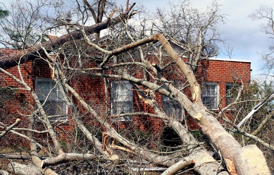 A strong storm has knocked a tree into a building. 